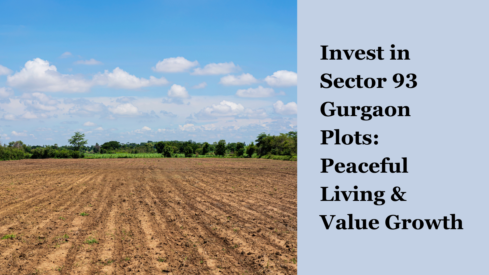 Invest in Sector 93 Gurgaon Plots: Peaceful Living & Value Growth