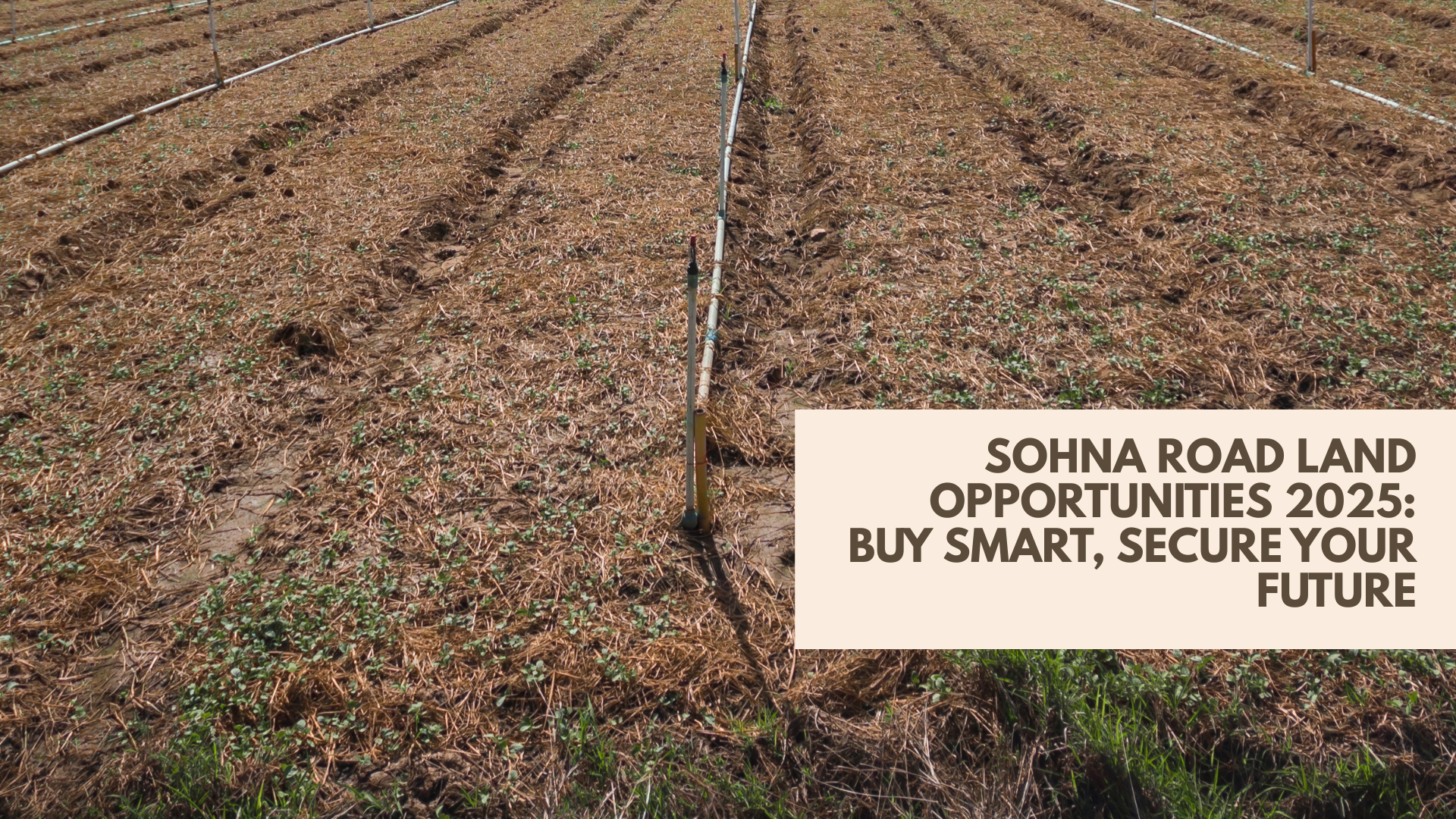Sohna Road Land Opportunities 2025: Buy Smart, Secure Your Future