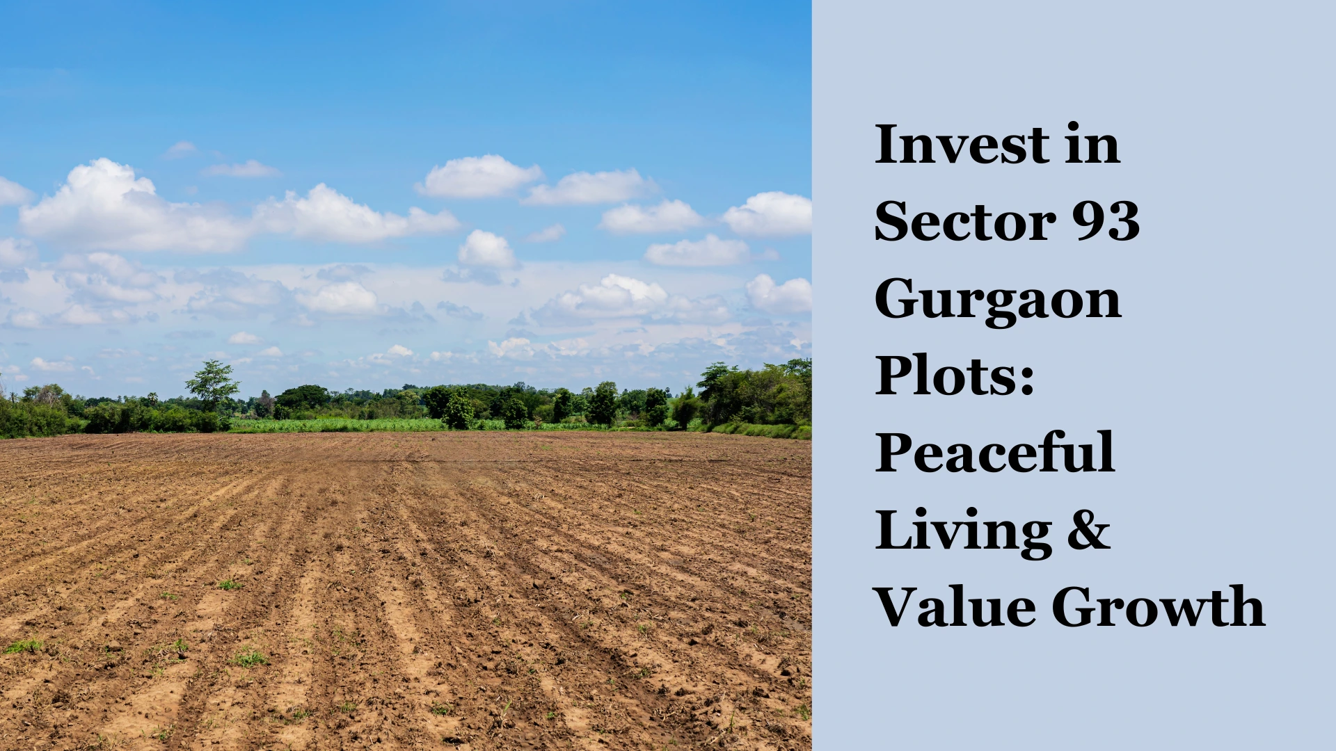 Invest in Sector 93 Gurgaon Plots: Peaceful Living & Value Growth