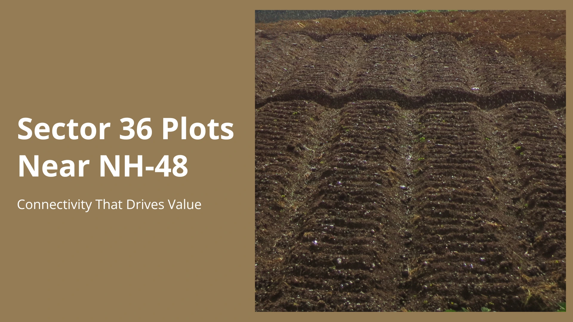 Sector 36 Plots Near NH-48: Connectivity That Drives Value