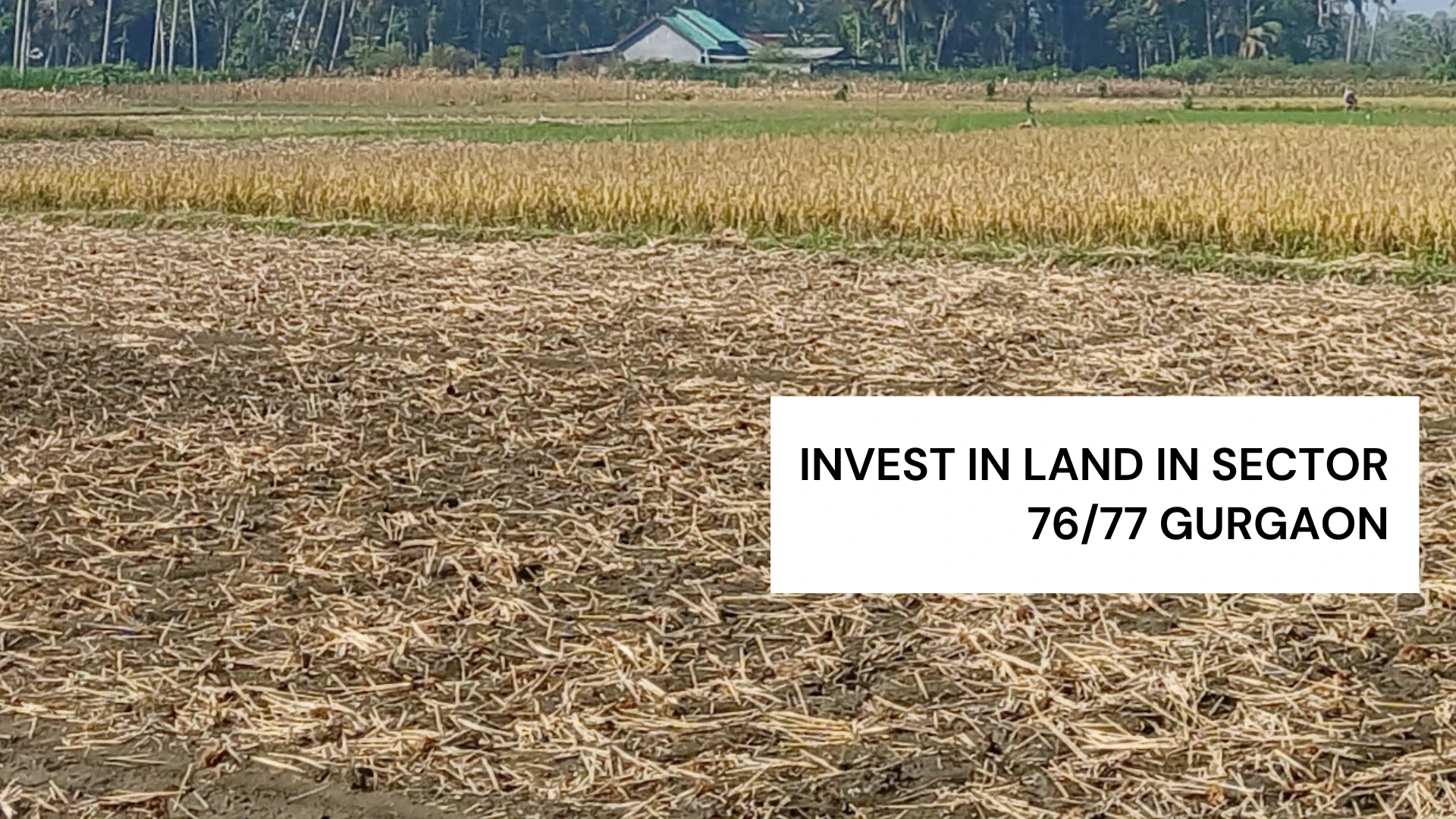 Invest in Land in Sector 76/77 Gurgaon