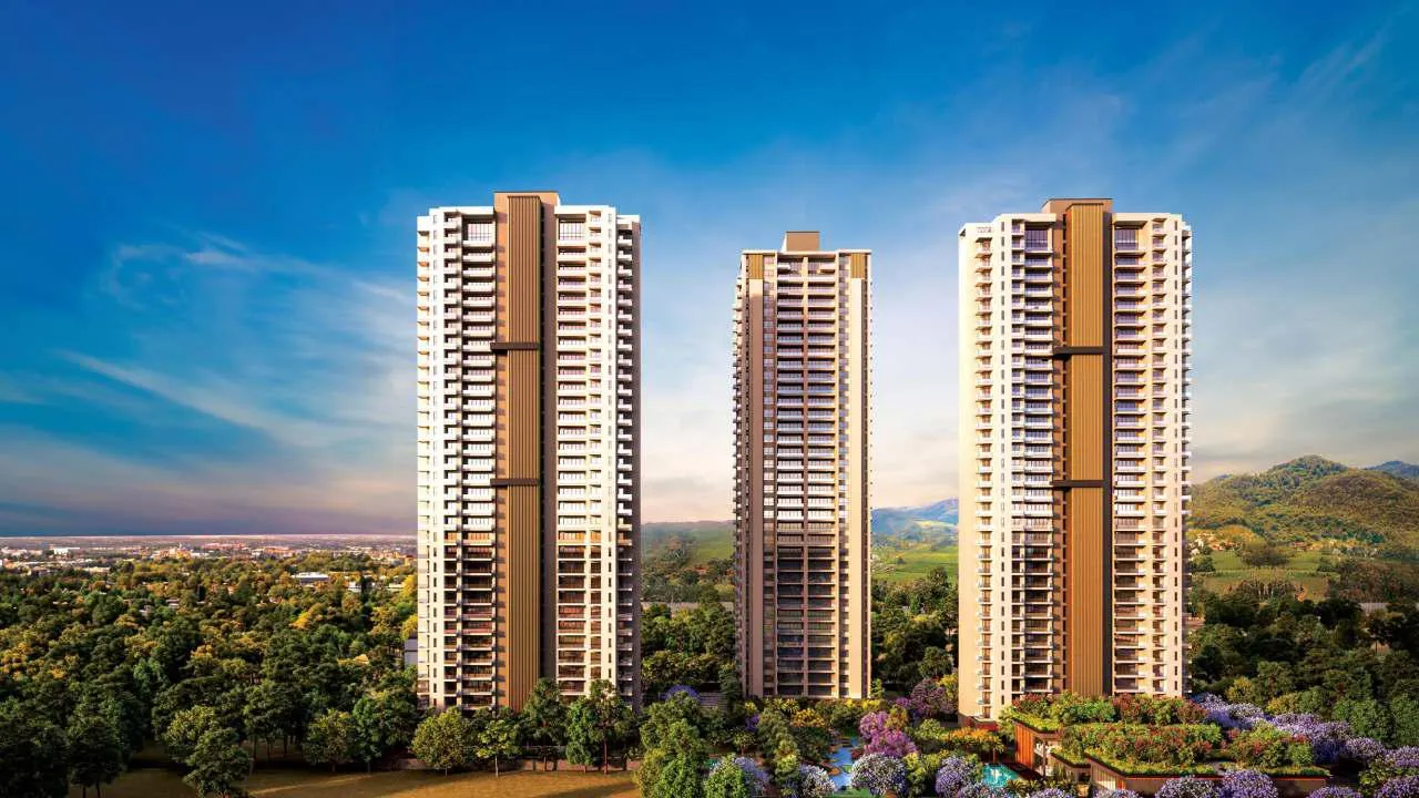 Silverglades Legacy